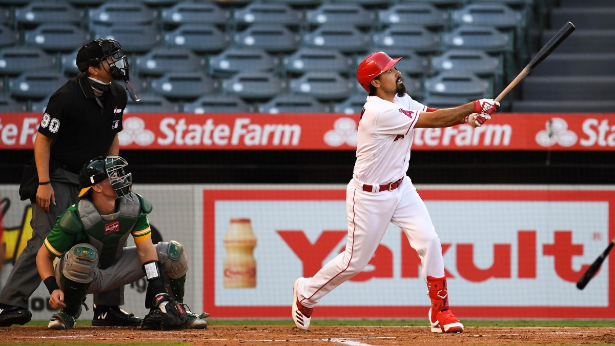 rendon